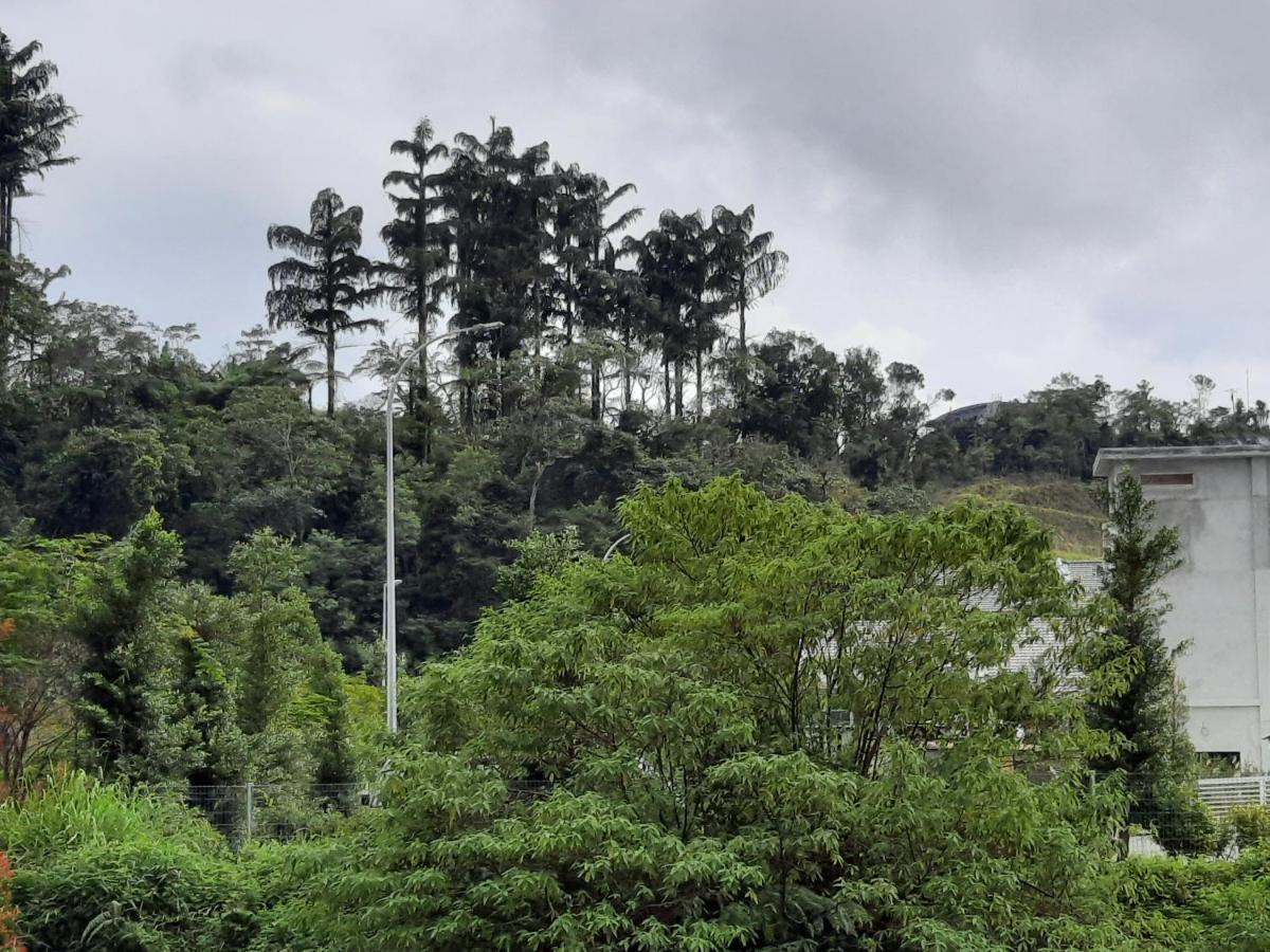 Lily Homestay Barrington Square Cameron Highlands. Brinchang Exteriér fotografie