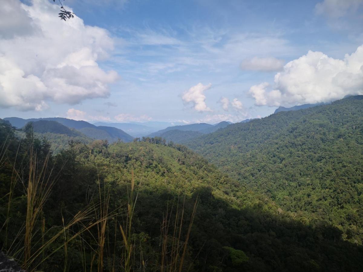 Lily Homestay Barrington Square Cameron Highlands. Brinchang Exteriér fotografie